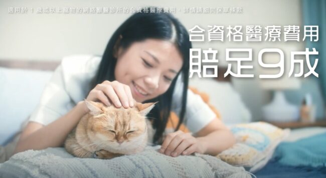 2023 [香港廣告] One Degree 寵物保險